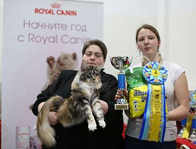   '--' 11-12  2015 6-33-169A4798 copy.jpg